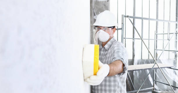 Mold Odor Removal Services in Romulus, MI